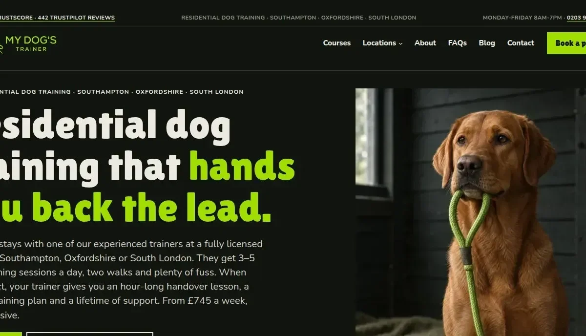 My Dog's Trainer website by Cervo Studio