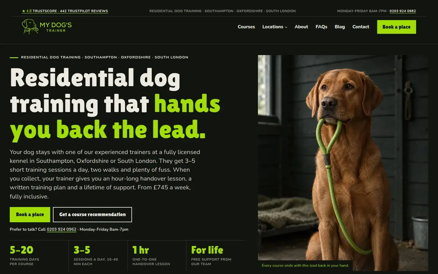 My Dog’s Trainer after the Cervo Studio rebuild