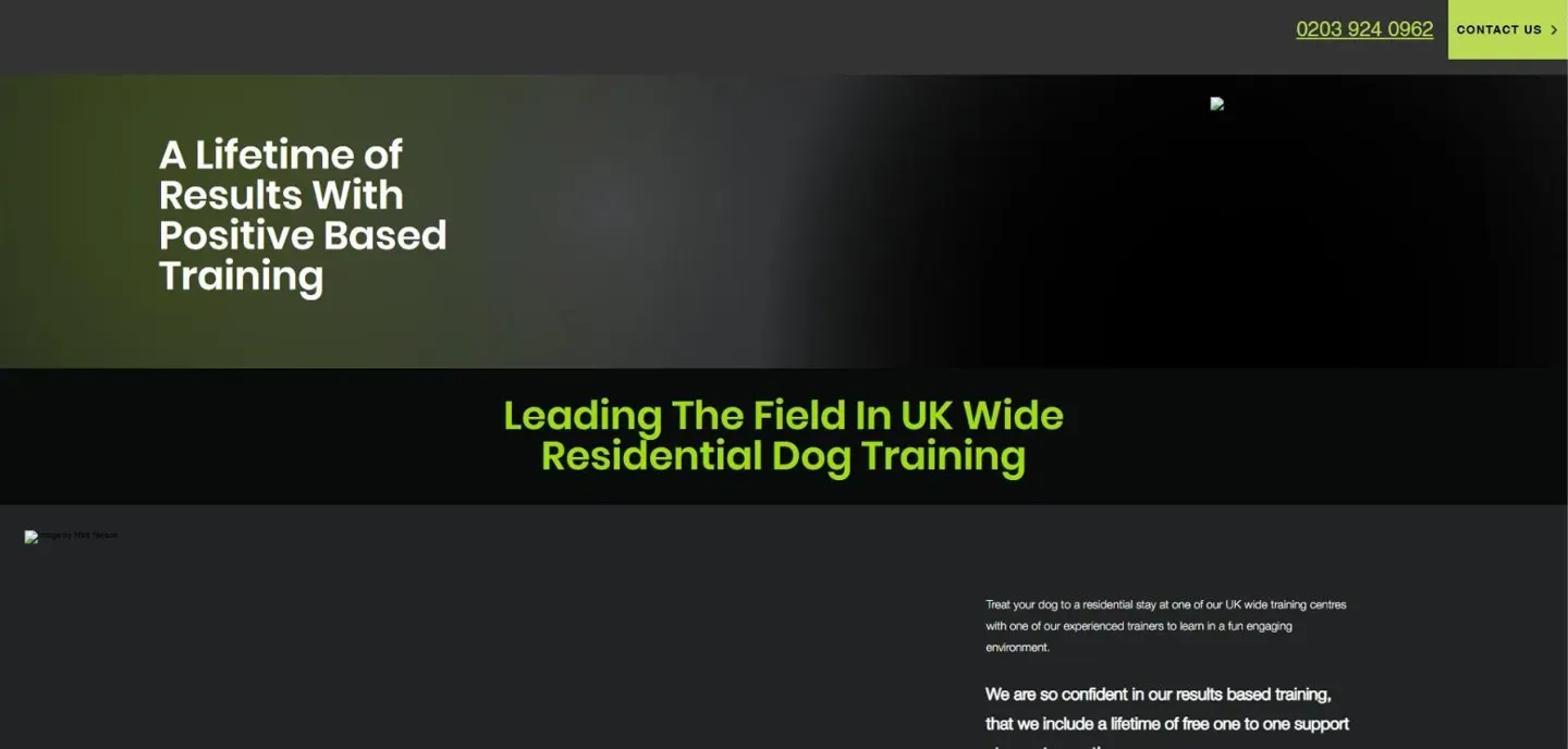 My Dog’s Trainer before the rebuild